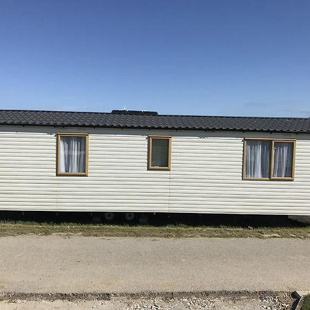 Hotel Ladyevelyn New Quay Exterior foto
